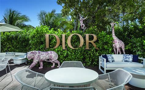 dior store palm beach|Dior cafe Miami design district.